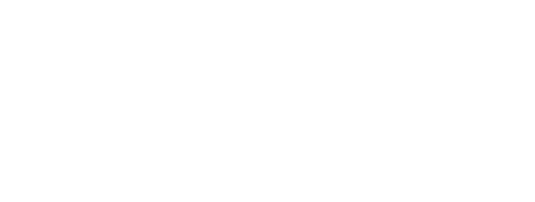 Revolt